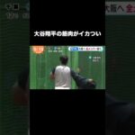 大谷翔平の筋肉がイカつい #プロ野球