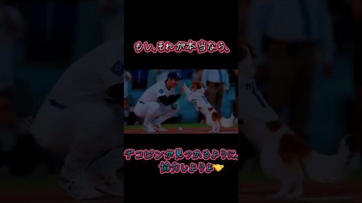 大谷翔平選手のデコピンを探す会　宜しくお願いします🙇