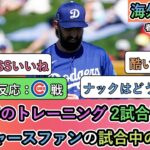 【試合中の海外の反応】春のトレーニング 2試合目。ドジャースファンの試合中の反応