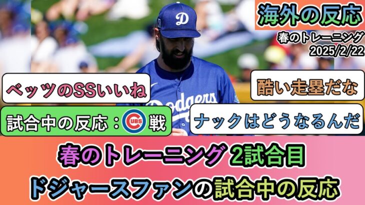 【試合中の海外の反応】春のトレーニング 2試合目。ドジャースファンの試合中の反応