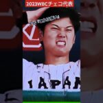 【2023年WBCチェコ代表の称賛】 #wbc #チェコ代表 #日本代表 #野球 #baseball #プロ野球 #大谷翔平 #佐々木朗希