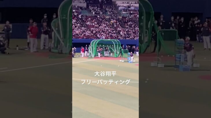 2023WBC強化試合3月4日　#大谷翔平