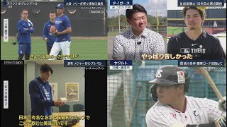 2月13日 プロ野球ニュース & MLB 今度こそキャンプイン…大谷翔平が語る…二刀流復活はいつ?佐々木朗希は?前田健太10年目の原点回帰松坂取材 MLBキャンプ