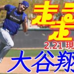 【大谷翔平2月21日現地速報】　打者でのオープン戦出場へカウントダウン　入念な打撃練習＆今キャンプ初のベーランに着手