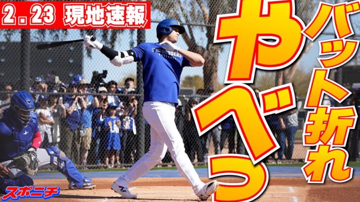 【大谷翔平2月23日現地速報】今春初ライブBPでマイナー選手大注目　“今季初安打”の打球披露