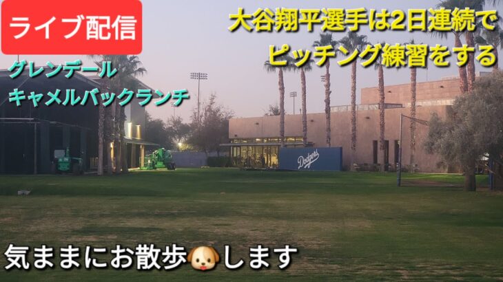 【ライブ配信】大谷翔平選手は2日連続でピッチング練習をする⚾️気ままにお散歩🐶します💫Shinsuke Handyman がライブ配信中！