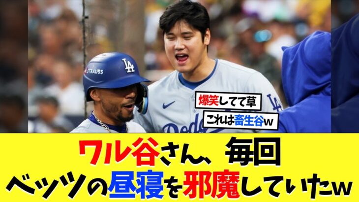 ワル谷の大谷翔平さん、先輩ムーキー･ベッツの昼寝を邪魔していたｗｗｗ【海外の反応】【大谷翔平】【なんｊ】【2ch】【プロ野球】【甲子園】【MLB】