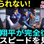 【大谷翔平】92-94mphの投球にMLBスターが本音「こんな回復、信じられない！」「彼が完全に戻ってきた！」フアン・ソトが挑戦状を叩きつけた！ドジャースはどう応えるのか？【海外の反応】【日本語翻訳】