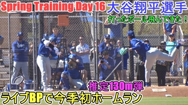 ２度目のライブBPで今季初ホームラン～推定130m弾～【大谷翔平選手】～スプトレ Day 16～Shohei Ohtani 2025 Spring Training Day 16