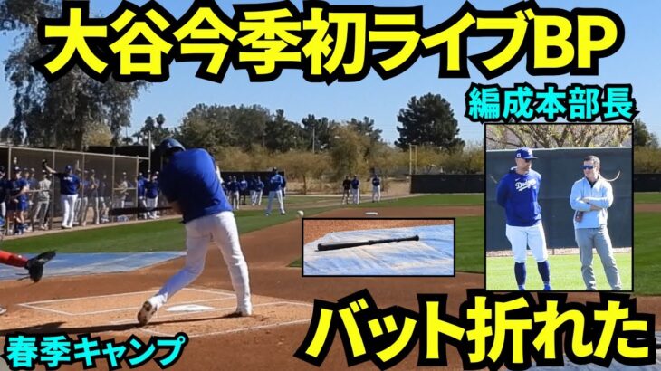 【速報】今季初ライブBPでいきなりバットが折れた！！怪力大谷翔平のライブBP打撃映像【現地映像】2025年2月24日スプリングトレーニング