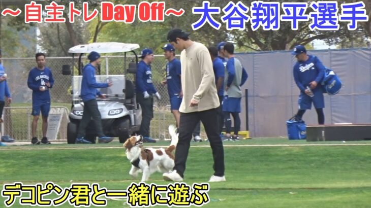 デコピン君と遊ぶ！【大谷翔平選手】～自主トレ Day Off～Shohei Ohtani 2025  Spring Training