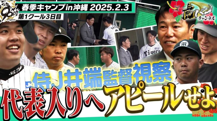 【侍JAPAN入りへ】日本代表の井端監督がキャンプを視察！来年のWBC日本代表へ、選手たちが投げて！守って！走って！猛アピール！！！阪神タイガース密着！応援番組「虎バン」ABCテレビ公式チャンネル