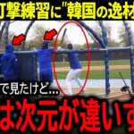 【大谷翔平】ドジャース関係者を唖然とさせた大谷の打撃練習に”韓国の逸材”がドン引き「大谷は次元が違いすぎる…」【海外の反応/MLB /野球】