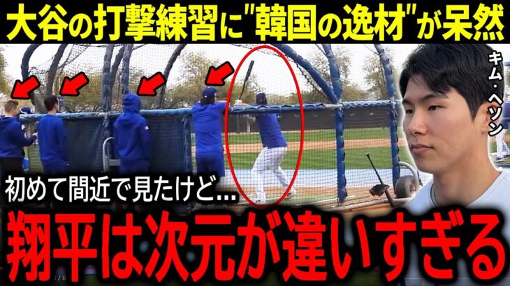 【大谷翔平】ドジャース関係者を唖然とさせた大谷の打撃練習に”韓国の逸材”がドン引き「大谷は次元が違いすぎる…」【海外の反応/MLB /野球】