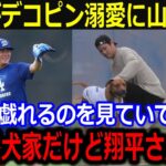 自主トレオフに大谷&デコピンのじゃれ合いに山本羨望…「僕も愛犬家だけど大谷さんは…」山本の愛犬と共に見せた面倒見の良さに同僚も称賛【最新/MLB/大谷翔平/山本由伸】