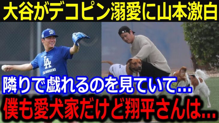 自主トレオフに大谷&デコピンのじゃれ合いに山本羨望…「僕も愛犬家だけど大谷さんは…」山本の愛犬と共に見せた面倒見の良さに同僚も称賛【最新/MLB/大谷翔平/山本由伸】