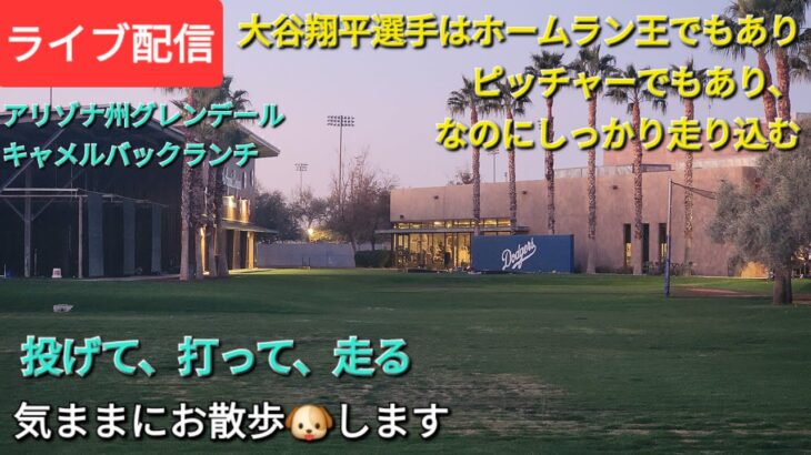 【ライブ配信】大谷翔平選手はホームラン王であり、ピッチャーでもあり、それでもしっかり走り込む⚾️気ままにお散歩🐶します💫Shinsuke Handyman がライブ配信中！