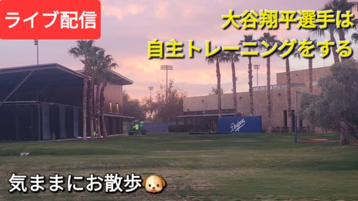 【ライブ配信】大谷翔平選手は自主トレーニングをして汗を流す⚾️朝から気ままに散歩します🐶Shinsuke Handyman がライブ配信中！