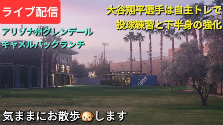 【ライブ配信】大谷翔平選手は自主トレで投球練習と下半身の強化⚾️気ままにお散歩🐶します💫Shinsuke Handyman がライブ配信中！