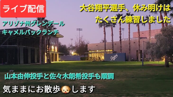 【ライブ配信】大谷翔平選手、休み明けはたくさん練習しました⚾️山本由伸投手と佐々木朗希投手も順調です⚾️気ままにお散歩🐶します💫Shinsuke Handyman がライブ配信中！