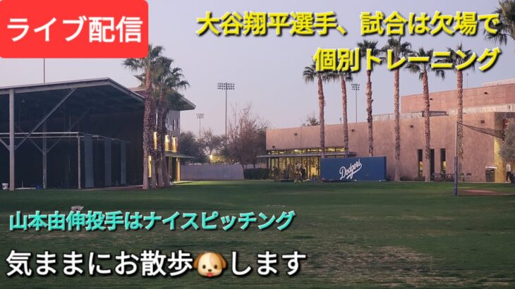 【ライブ配信】大谷翔平選手は試合欠場、個別でトレーニング⚾️山本由伸投手はナイスピッチング⚾️気ままにお散歩🐶します⚾️Shinsuke Handyman がライブ配信中！