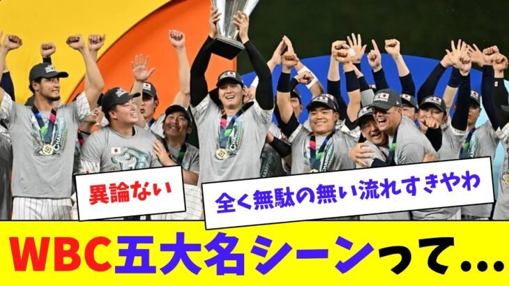 【日本代表】WBCの五大名シーンって・・・