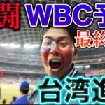 【前所未有的興奮】台灣代表經過激烈戰鬥決定參加WBC、日本人在台灣人中間喊話