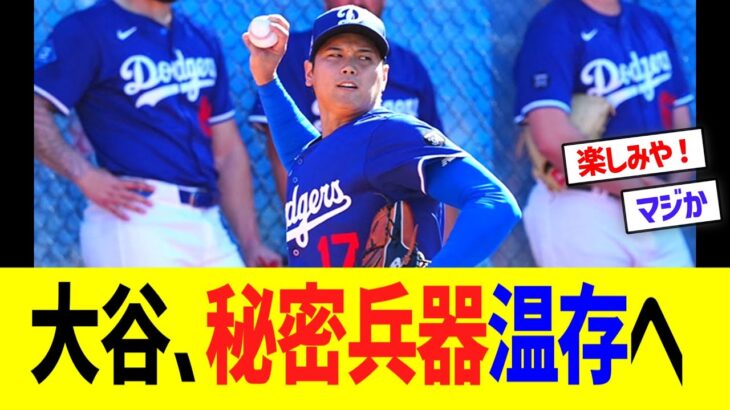 大谷、秘密兵器温存へ