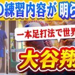 🔴🔴大谷翔平、一本足打法で世界震撼！“走・投・打”で見せる新たな進化に誰もが驚愕！驚愕の練習内容が明らかに！大谷フィーバーが限界突破！ドジャースキャンプ異常事態で有料化検討へ！【ドジャース/山本由伸】