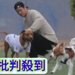 大谷翔平がキャンプ施設でデコピン＆真美子夫人とつかの間のひととき　大谷ユニ着た犬も