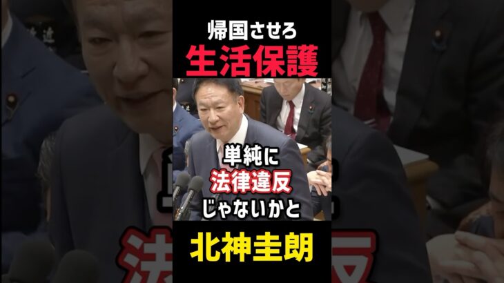 外国人生活保護　#玉木雄一郎 #大谷翔平 #石丸伸二