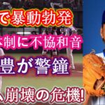 阪神で暴動勃発！藤川新体制に不協和音！高木豊が警告！ 「それは本当の競争ですか？茶番ですか？」選手たちの不満によりチーム崩壊の危機！