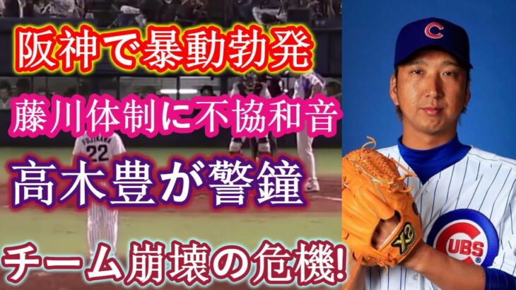 阪神で暴動勃発！藤川新体制に不協和音！高木豊が警告！ 「それは本当の競争ですか？茶番ですか？」選手たちの不満によりチーム崩壊の危機！