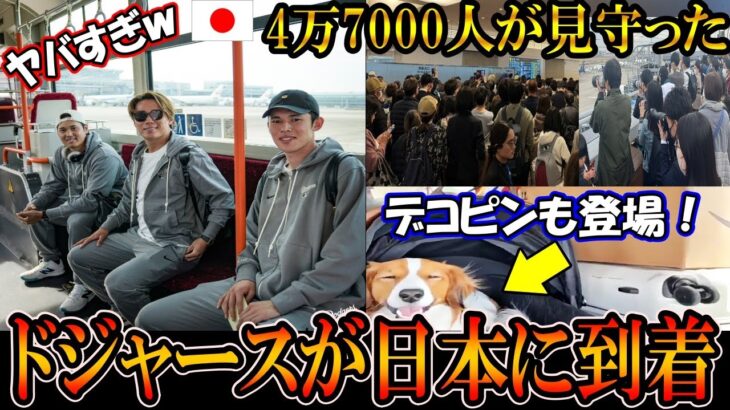 【大谷翔平】ドジャースが日本に到着！4万7000人がフライトを見守る！大谷「ただいま」スター軍団が日本にやってきた！デコピンもohtani