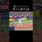 【雑学】侍ジャパンに関する雑学5選　＃侍ジャパン ＃WBC ＃大谷翔平