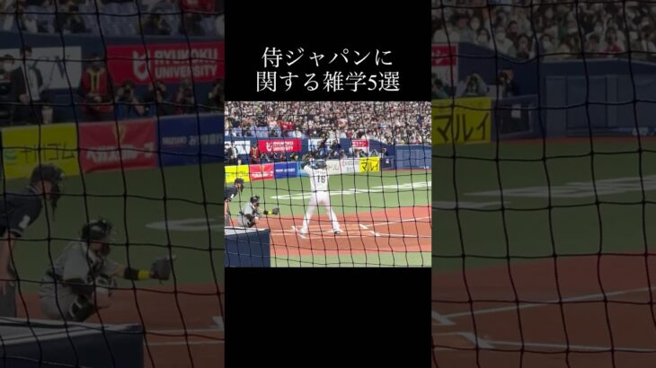 【雑学】侍ジャパンに関する雑学5選　＃侍ジャパン ＃WBC ＃大谷翔平