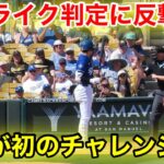 なんと大谷がストライク判定に反撃！初のAI判定チャレンジ！