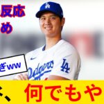 【海外の反応】大谷翔平、もはやMLBを超越して世界的スターになってしまった模様www MLB史上初フォートナイトコラボ確定！？ポスターの「17」匂わせでネット騒然www