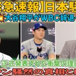 【緊急速報⚡】日本騒然‼️大谷翔平が正式発表「WBC出場辞退…」💥衝撃の真相とは⁉️