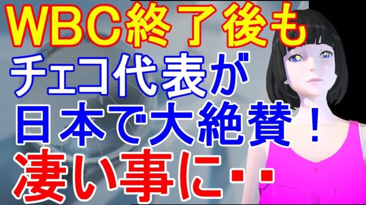 WBCで侍ジャパンと試合したチェコ代表！日本での人気は今も凄かった