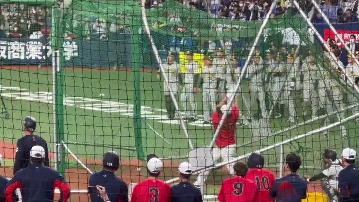 WBC強化試合　大谷翔平バッティング練習