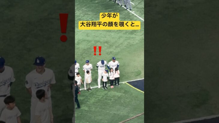 【現地映像】幸運の少年が大谷翔平の顔を覗く気持ちが分かりすぎた#大谷翔平 #shoheiohtani #dodgers