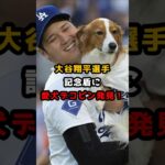 【大谷翔平】大谷翔平選手、記念盾に愛犬デコピン発見！で大喜び #大谷翔平 #デコピン #shorts