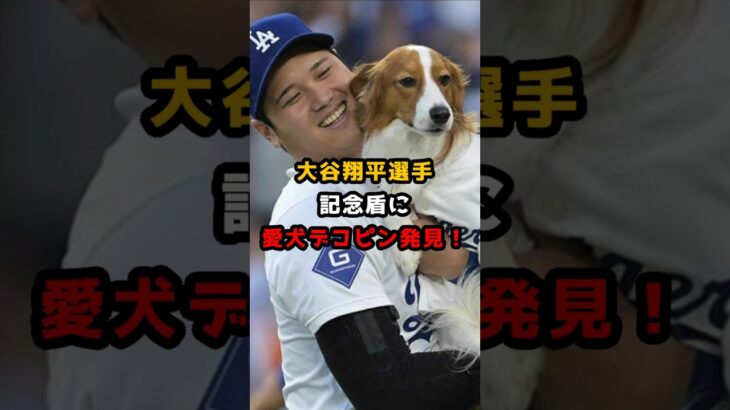 【大谷翔平】大谷翔平選手、記念盾に愛犬デコピン発見！で大喜び #大谷翔平 #デコピン #shorts