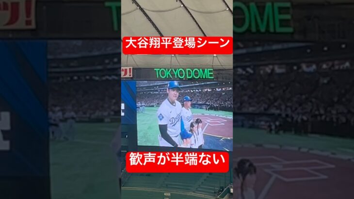 【超絶人気】大谷翔平の登場シーン声援のデカさが半端ない#shorts #大谷翔平 #ドジャース #MLB #shoheiotani