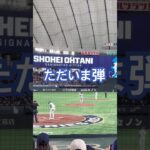 大谷翔平のホームラン近くで見たよ #shorts #大谷翔平 #mlb