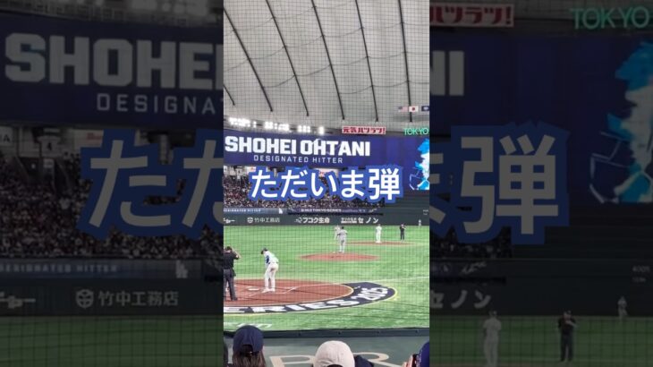 大谷翔平のホームラン近くで見たよ #shorts #大谷翔平 #mlb