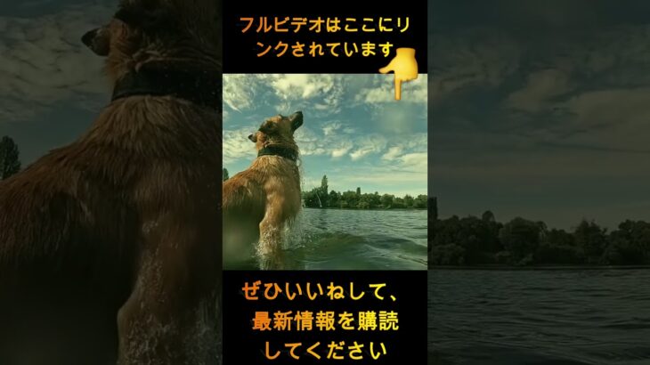 【海外の反応】「マナー良すぎて衝撃！」日本の観戦文化にベッツが大絶賛！👏🔥