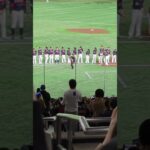 WBC2023 日本vsオーストラリア スタメン選手紹介01 #ヌートバー #近藤健介 #大谷翔平 #wbc （ワールド・ベースボール・クラシック）2023/03/12