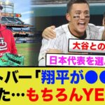 「ショウヘイが呼んでいるんだ…」ヌートバーWBC日本代表侍ジャパン入り志願！【海外の反応/大谷翔平/MLB/侍ジャパン】